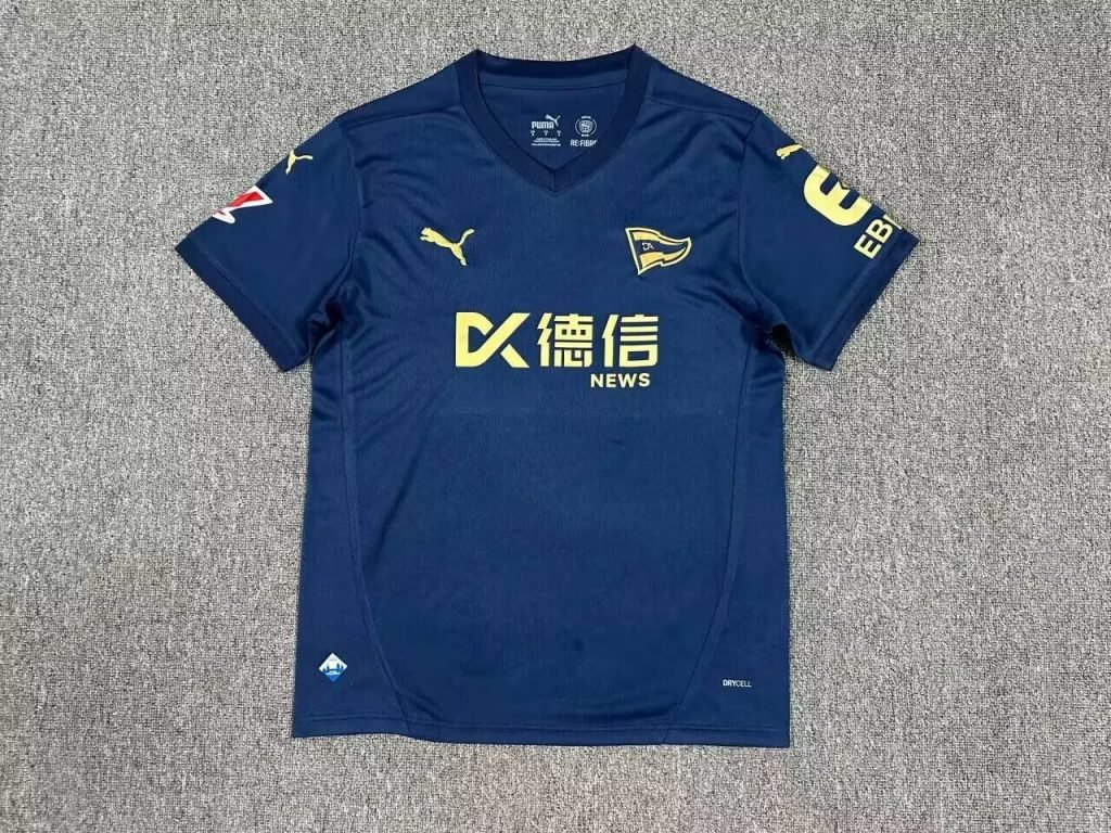 Camiseta Alavés 24/25 3º equipación