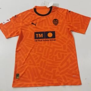 Camiseta Valencia 23/24 3º equipación