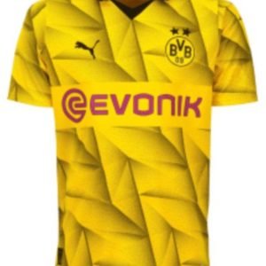 Camiseta Borussia Dortmund 23/24 1º equipación (edición champions)
