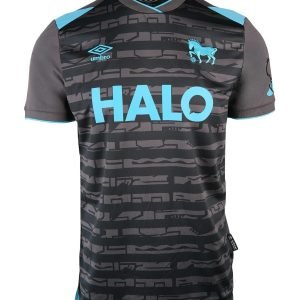 Camiseta Ipswich Town 25/26 3º equipación