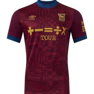 Camiseta Ipswich Town 24/25 2º equipación