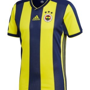 Camiseta Fenerbahçe 18/19 1º equipación