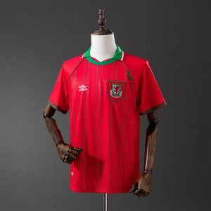 Camiseta Gales 1994 1º equipación