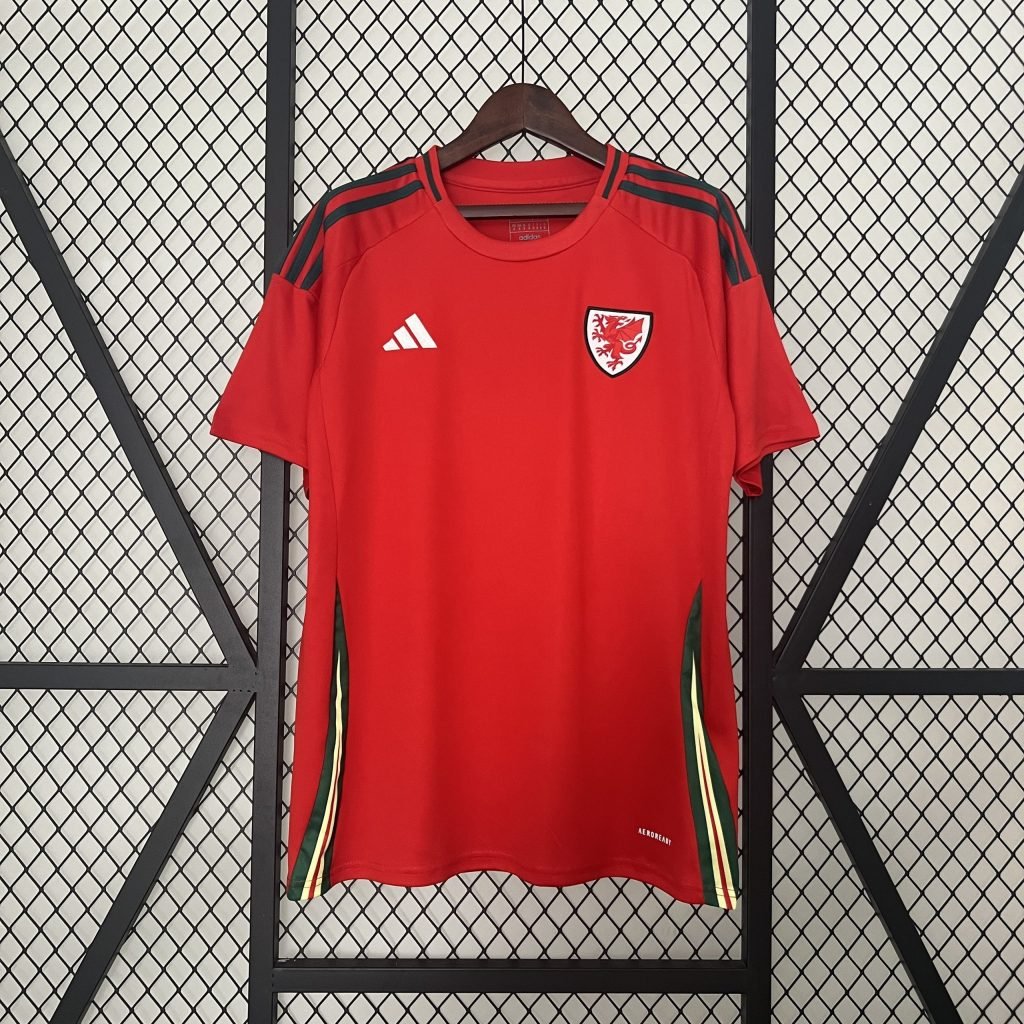 Camiseta Gales 2024 1º equipación