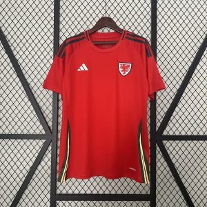 Camiseta Gales 2024 1º equipación
