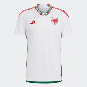 Camiseta Gales 2022 2º equipación