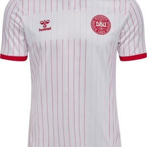 Camiseta Dinamarca 2026 2º equipación