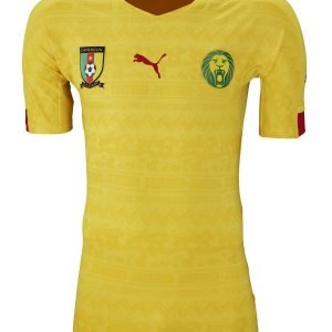 Camiseta Camerún 2014 2º equipación