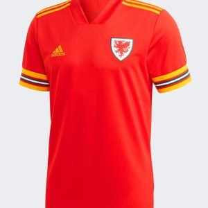 Camiseta Gales 2020 1º equipación