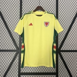 Camiseta Gales 2024 2º equipación