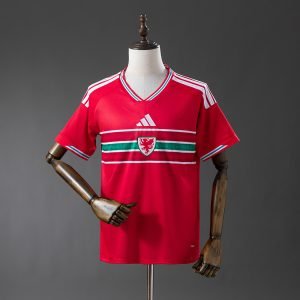 Camiseta Gales 2026 1º equipación
