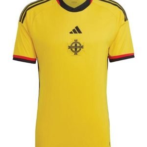 Camiseta Irlanda del norte 2022 2º equipación