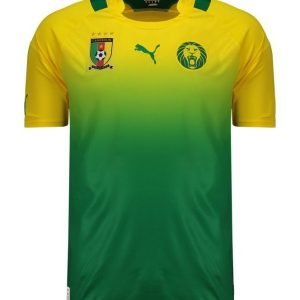 Camiseta Camerún 2012 2º equipación