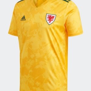 Camiseta Gales 2020 2º equipación