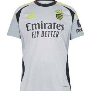 Camiseta Benfica 24/25 3º equipación